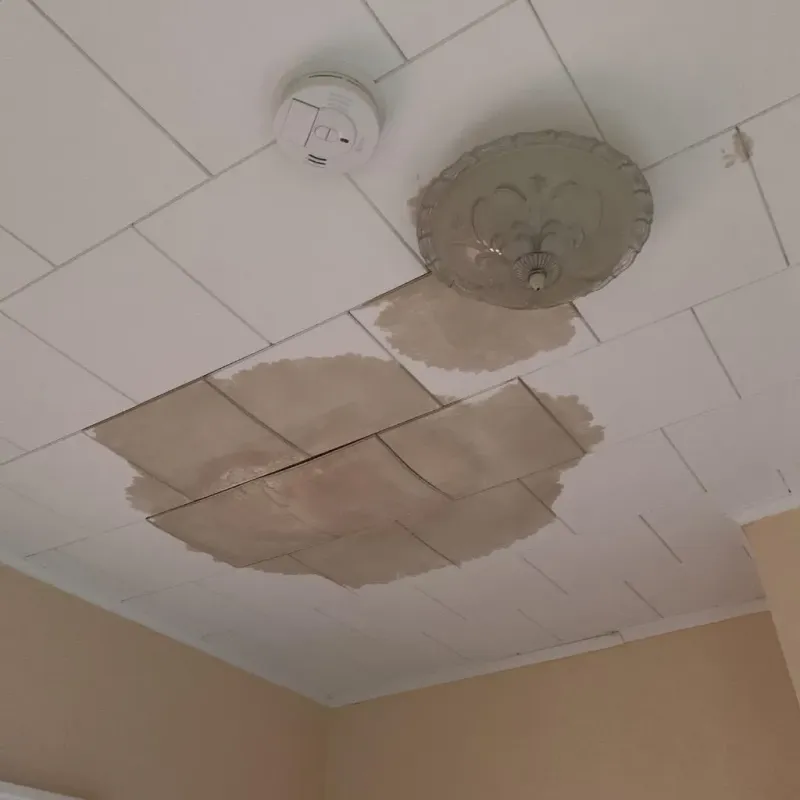 Ceiling Water Damage Repair in Pontotoc County, MS