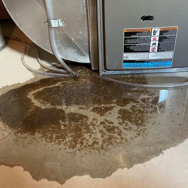 Pipe Burst and Leak Restoration in Pontotoc County, MS