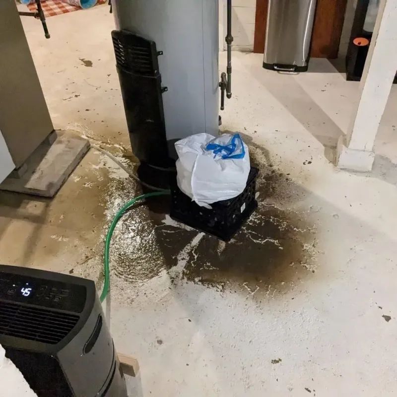 Sewage Backup Cleanup Service in Pontotoc County, MS